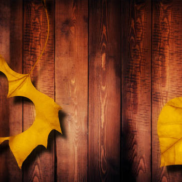 A párkapcsolat hava – a Mérleg üzenete